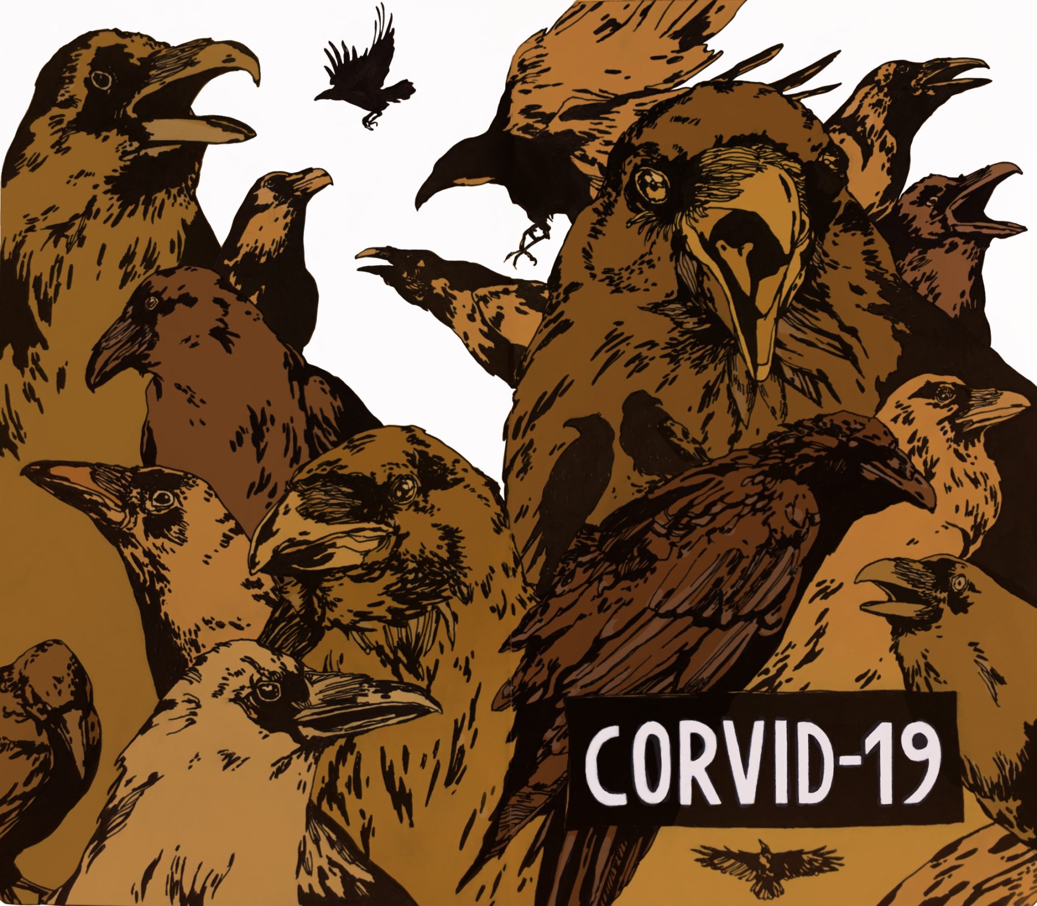 CORVID-19
